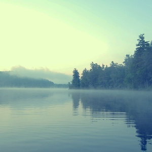 同性恋男人鸡巴操男孩屁股视频
