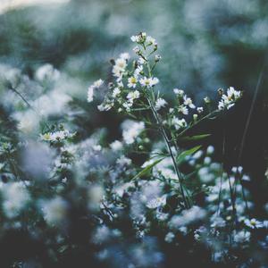 同性恋男人鸡巴操男孩屁股视频
